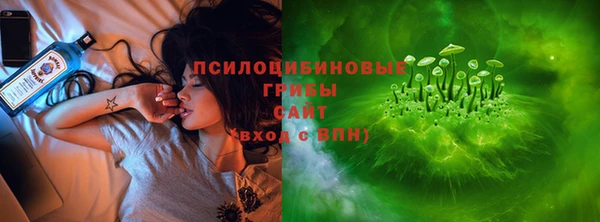 гидропоника Алзамай