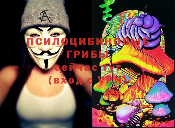 гидропоника Алзамай