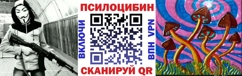 как найти Козловка Галлюциногенные грибы ЛСД